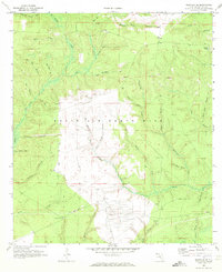 Download a high-resolution, GPS-compatible USGS topo map for Niceville SE, FL (1972 edition)