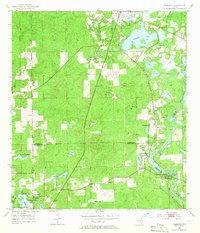 Download a high-resolution, GPS-compatible USGS topo map for Nobleton, FL (1966 edition)