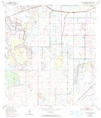 Download a high-resolution, GPS-compatible USGS topo map for North Of Bluefield, FL (1993 edition)