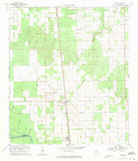 preview thumbnail of historical topo map of Suwannee County, FL in 1969