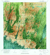 preview thumbnail of historical topo map of Collier County, FL in 1972