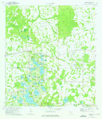 Download a high-resolution, GPS-compatible USGS topo map for Odessa, FL (1975 edition)