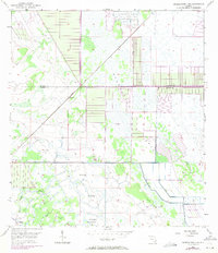 Download a high-resolution, GPS-compatible USGS topo map for Okeechobee 4 NE, FL (1971 edition)