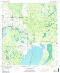 Download a high-resolution, GPS-compatible USGS topo map for Osceola, FL (1988 edition)