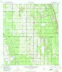 preview thumbnail of historical topo map of Indian River County, FL in 1949