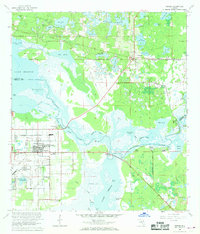 preview thumbnail of historical topo map of Volusia County, FL in 1965