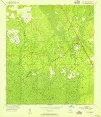 Download a high-resolution, GPS-compatible USGS topo map for Otter Creek, FL (1956 edition)