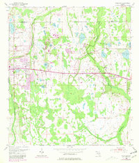 preview thumbnail of historical topo map of Orange County, FL in 1953
