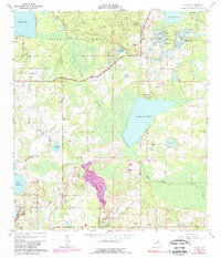 Download a high-resolution, GPS-compatible USGS topo map for Paisley, FL (1989 edition)