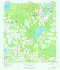 Download a high-resolution, GPS-compatible USGS topo map for Paisley, FL (1976 edition)
