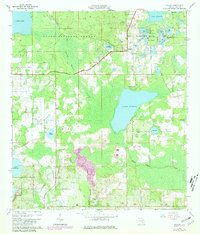 Download a high-resolution, GPS-compatible USGS topo map for Paisley, FL (1981 edition)