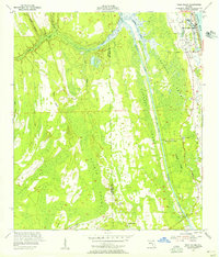 Download a high-resolution, GPS-compatible USGS topo map for Palm Valley, FL (1956 edition)