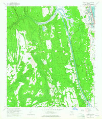 Download a high-resolution, GPS-compatible USGS topo map for Palm Valley, FL (1965 edition)