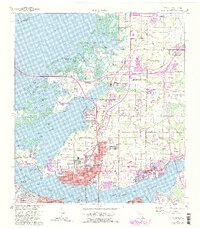 preview thumbnail of historical topo map of Palmetto, FL in 1964