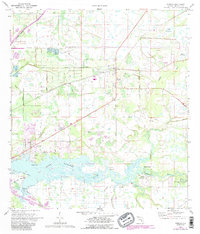 preview thumbnail of historical topo map of Manatee County, FL in 1973