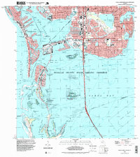 Download a high-resolution, GPS-compatible USGS topo map for Pass-A-Grille Beach, FL (1999 edition)