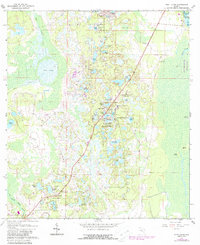 Download a high-resolution, GPS-compatible USGS topo map for Pine Lakes, FL (1988 edition)