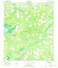 Download a high-resolution, GPS-compatible USGS topo map for Poplar Head, FL (1973 edition)