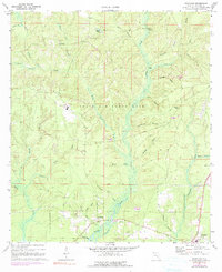 preview thumbnail of historical topo map of Walton County, FL in 1970