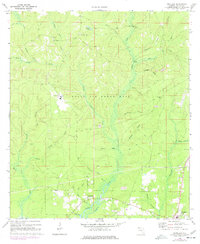 Download a high-resolution, GPS-compatible USGS topo map for Portland, FL (1999 edition)