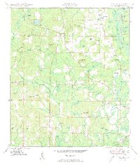 preview thumbnail of historical topo map of Holmes County, FL in 1950