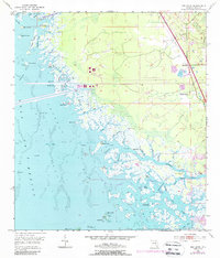 Download a high-resolution, GPS-compatible USGS topo map for Red Level, FL (1988 edition)