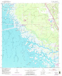 Download a high-resolution, GPS-compatible USGS topo map for Red Level, FL (1993 edition)