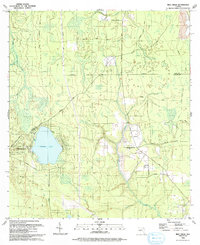 Download a high-resolution, GPS-compatible USGS topo map for Rice Creek, FL (1993 edition)