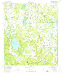 Download a high-resolution, GPS-compatible USGS topo map for Rice Creek, FL (1972 edition)