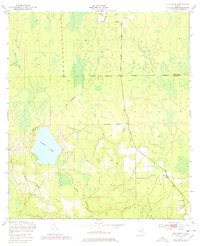 Download a high-resolution, GPS-compatible USGS topo map for Rice Creek, FL (1978 edition)