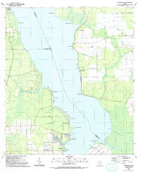 Download a high-resolution, GPS-compatible USGS topo map for Riverdale, FL (1991 edition)