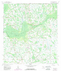 Download a high-resolution, GPS-compatible USGS topo map for Rock Ridge, FL (1981 edition)