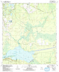 Download a high-resolution, GPS-compatible USGS topo map for Rodman, FL (1993 edition)