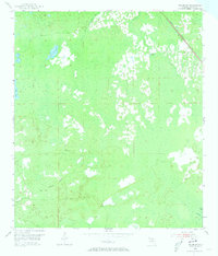 Download a high-resolution, GPS-compatible USGS topo map for Salem SW, FL (1973 edition)