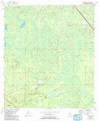 Download a high-resolution, GPS-compatible USGS topo map for Salem Sw, FL (1993 edition)