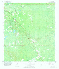 preview thumbnail of historical topo map of Taylor County, FL in 1954