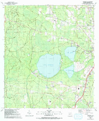 Download a high-resolution, GPS-compatible USGS topo map for Sampson, FL (1991 edition)