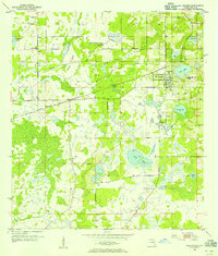 Download a high-resolution, GPS-compatible USGS topo map for San Antonio, FL (1955 edition)