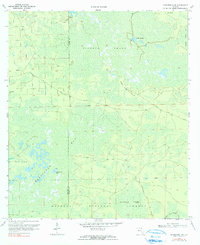 Download a high-resolution, GPS-compatible USGS topo map for Sanderson Nw, FL (1990 edition)