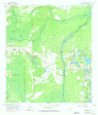 Download a high-resolution, GPS-compatible USGS topo map for Sanford SW, FL (1975 edition)