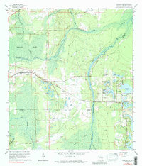 preview thumbnail of historical topo map of Lake County, FL in 1965