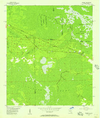 1956 Map of Clinch County, GA, 1957 Print