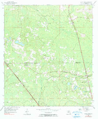 Download a high-resolution, GPS-compatible USGS topo map for Shady Grove, FL (1990 edition)