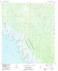 preview thumbnail of historical topo map of Dixie County, FL in 1955