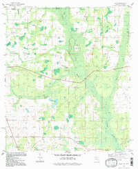 Download a high-resolution, GPS-compatible USGS topo map for Sills, FL (1998 edition)