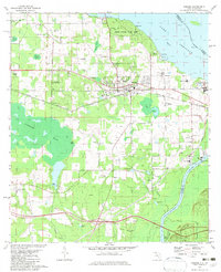 Download a high-resolution, GPS-compatible USGS topo map for Sneads, FL (1982 edition)