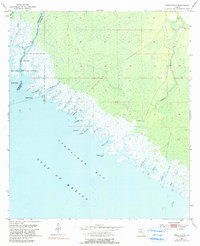 preview thumbnail of historical topo map of Taylor County, FL in 1955