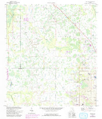 Download a high-resolution, GPS-compatible USGS topo map for Socrum, FL (1993 edition)
