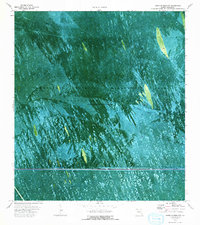 Download a high-resolution, GPS-compatible USGS topo map for South of Deem City, FL (1993 edition)