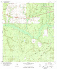 Download a high-resolution, GPS-compatible USGS topo map for Spencer Flats, FL (1975 edition)